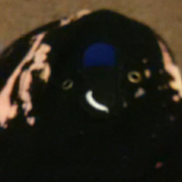 Dad bleach hats - Picture 3 of 6